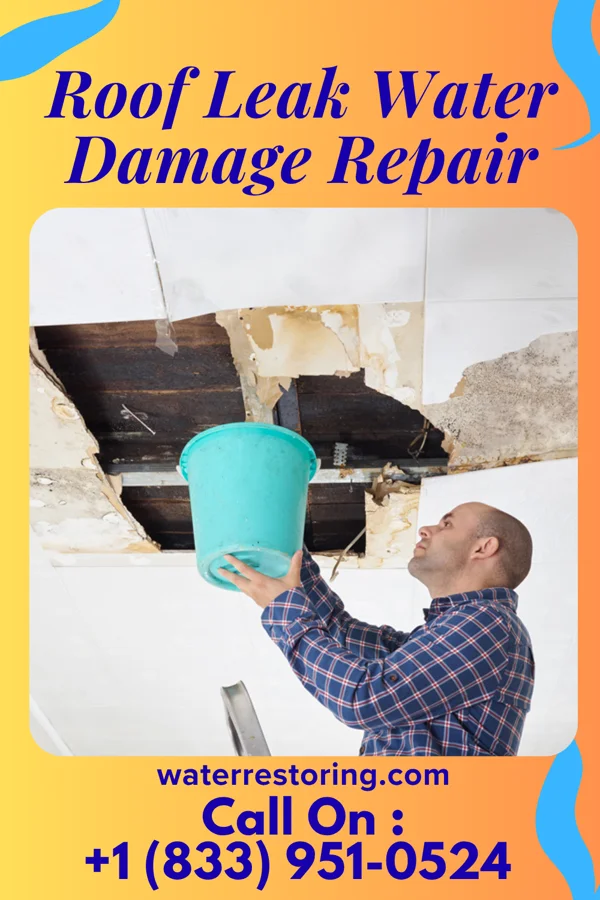 Roof Leak Water Damage Repair in South San Francisco, CA